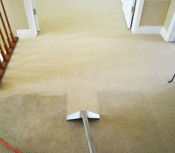Hot Water Extraction Carpet Cleaning Dromana Lighthouse