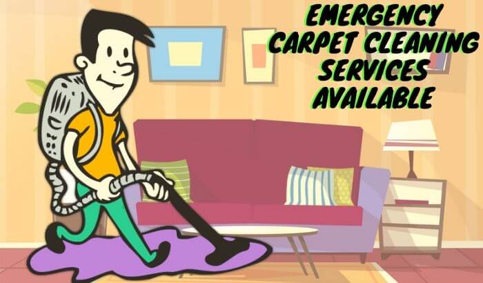 Same day Carpet Cleaning