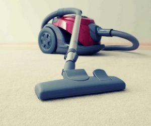 grooming dry of carpet