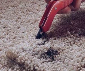 Cut Out the Damaged Carpet