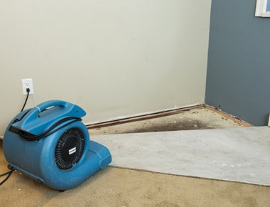 Carpet Flood Water Damage Repair Melbourne