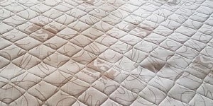 mattress dead skin