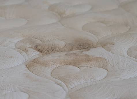 mattress mould removal melbourne