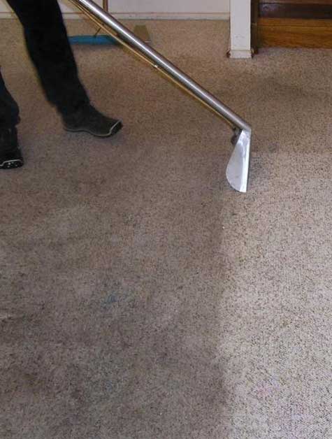 Expert Carpet Cleaning in Melbourne