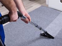 Expert Carpet Cleaning Services Dromana Lighthouse