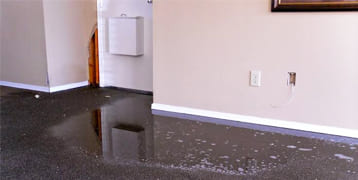 Flood Damage Carpet Cleaning Services