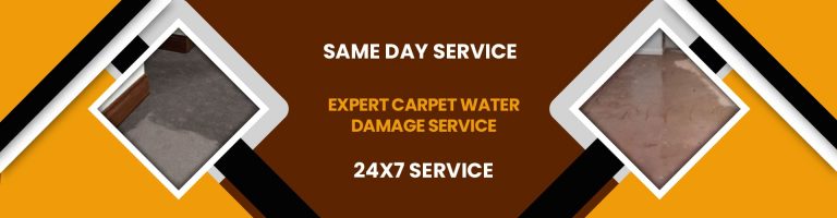 How To Prevent Water Carpet Damage